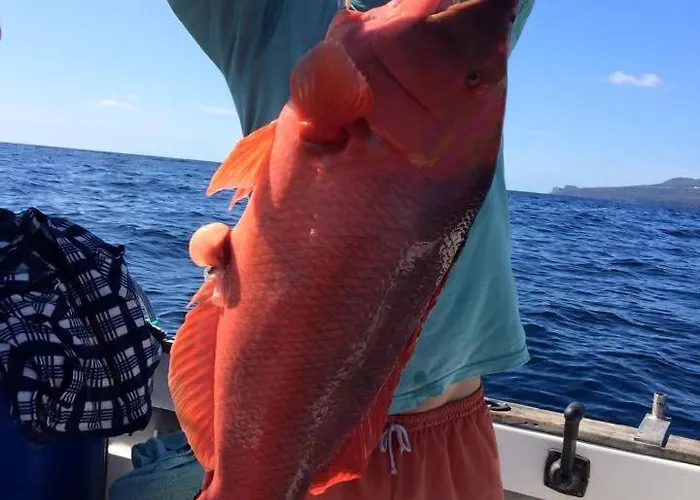 Retiro Bananeiras Apartamento Horta (Azores)