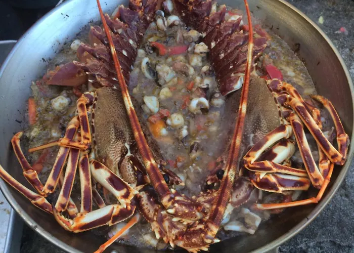 Retiro Bananeiras Horta (Azores)