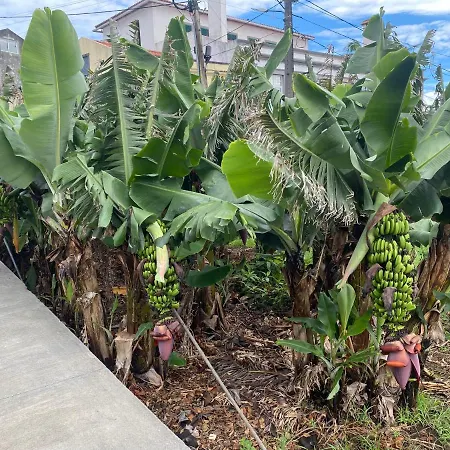 Retiro Bananeiras