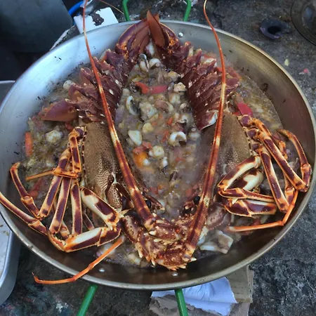Retiro Bananeiras Horta (Azores)