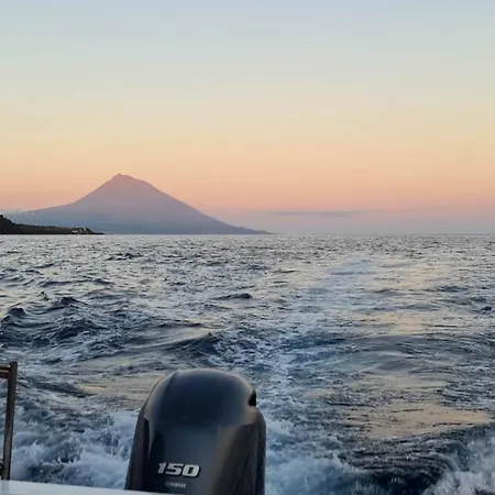 Apartment Retiro Bananeiras Horta (Azores)